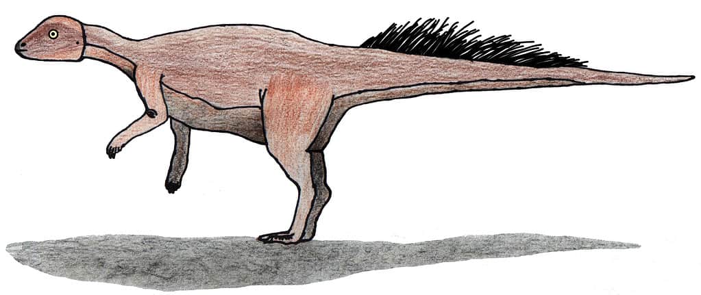 Deciphering the Lengthy: The Longest Dinosaur Name Explored