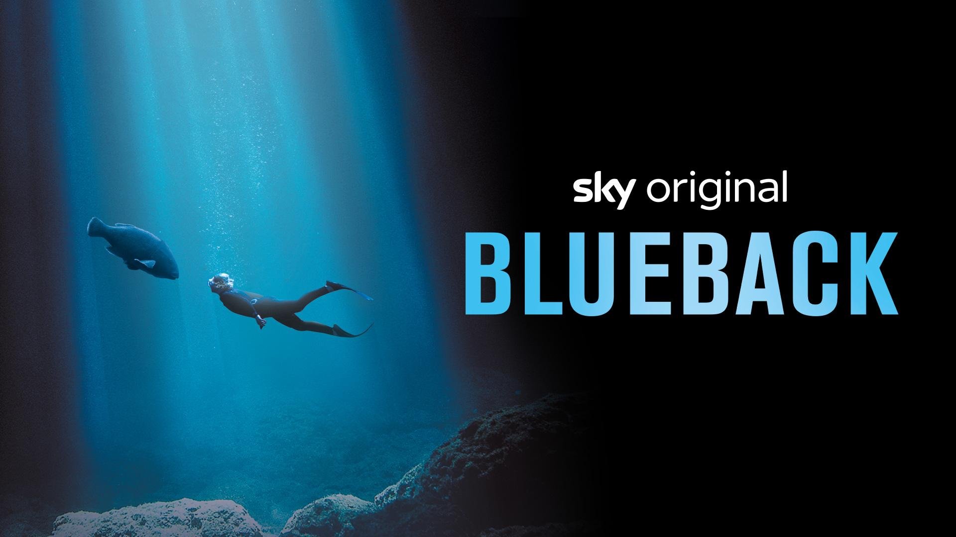 Sky Movies HD.in: A Deep Dive